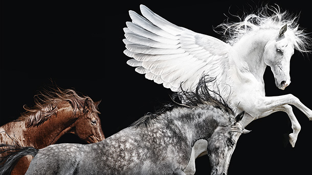 Pegasos. Mandatum Life, 2014.