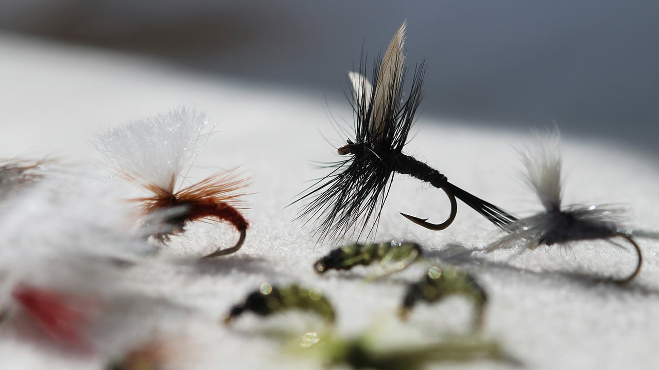 Mitä yrittäjän kannattaa nyt tietää palkitsemisesta?