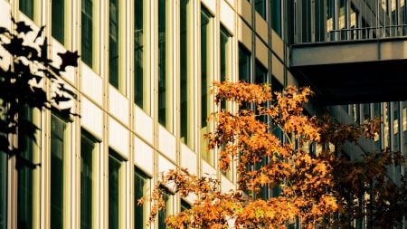 Allokaationäkemys: Sijoittajan syyslukukausi alkakoon