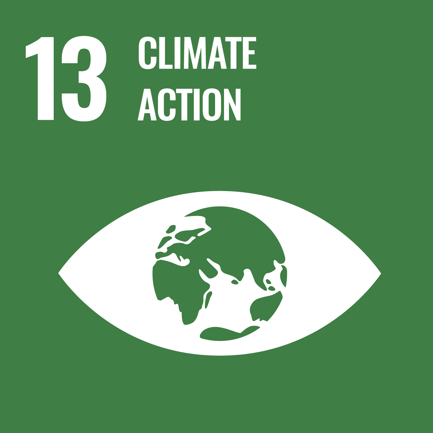 SDG 13 EN.png