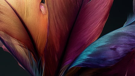 Luonnon monimuotoisuuden huomiointi sijoituksissa