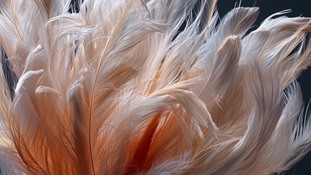 Miten tunnistaa vastuullinen sijoituskohde?